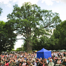 zdjecie w liście aktualnosci