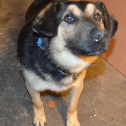 zdjecie w liście aktualnosci