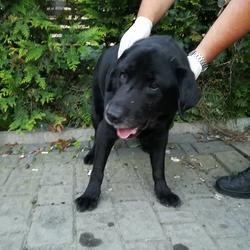 zdjecie w liście aktualnosci