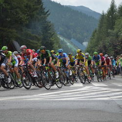 zdjecie w liście aktualnosci