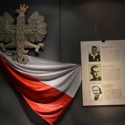 zdjecie w liście aktualnosci