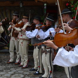 zdjecie w liście aktualnosci
