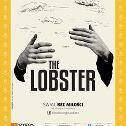 zdjecie w liście aktualnosci