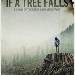 zdjecie w liście aktualnosci