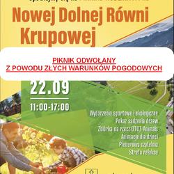 zdjecie w liście aktualnosci