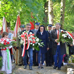 zdjecie w liście aktualnosci