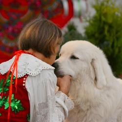 zdjecie w liście aktualnosci