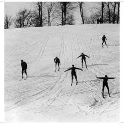 zdjecie w liście aktualnosci